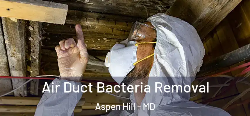 Air Duct Bacteria Removal Aspen Hill - MD
