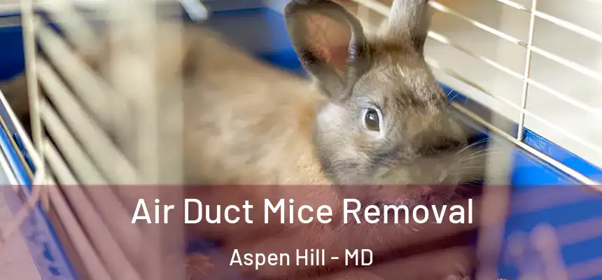  Air Duct Mice Removal Aspen Hill - MD