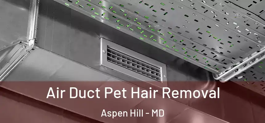 Air Duct Pet Hair Removal Aspen Hill - MD