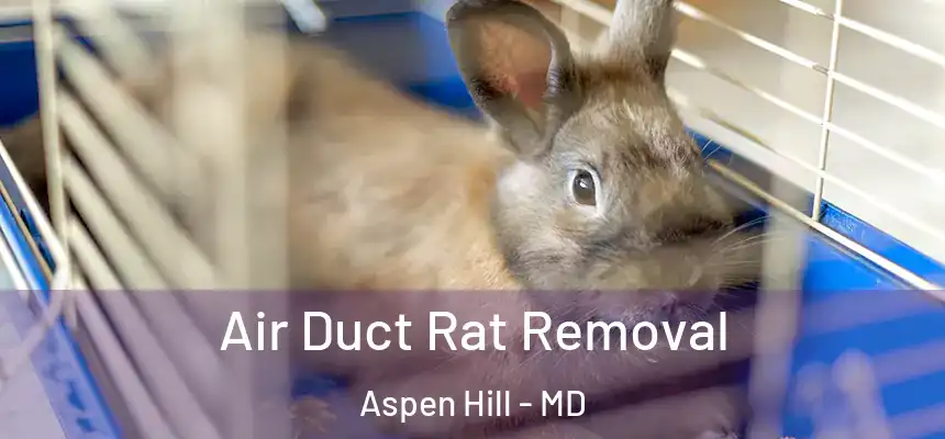 Air Duct Rat Removal Aspen Hill - MD