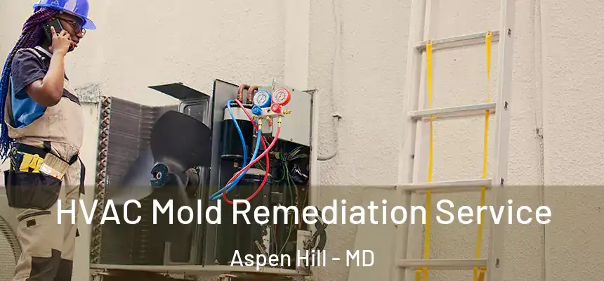  HVAC Mold Remediation Service Aspen Hill - MD