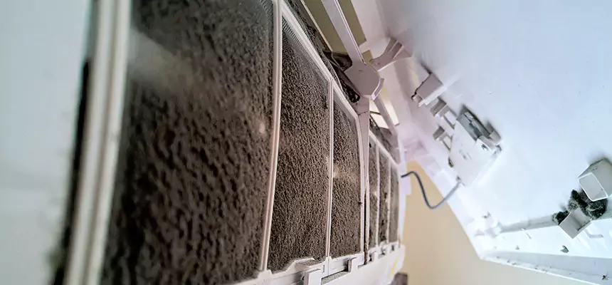 Preventive Air Duct Bacteria Removal in Aspen Hill