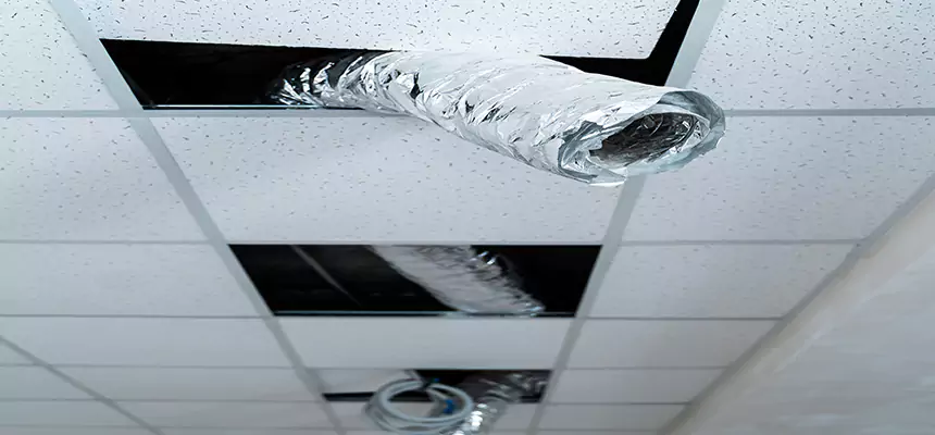 Our Air Duct Pet Hair Removal Services in Aspen Hill, MD