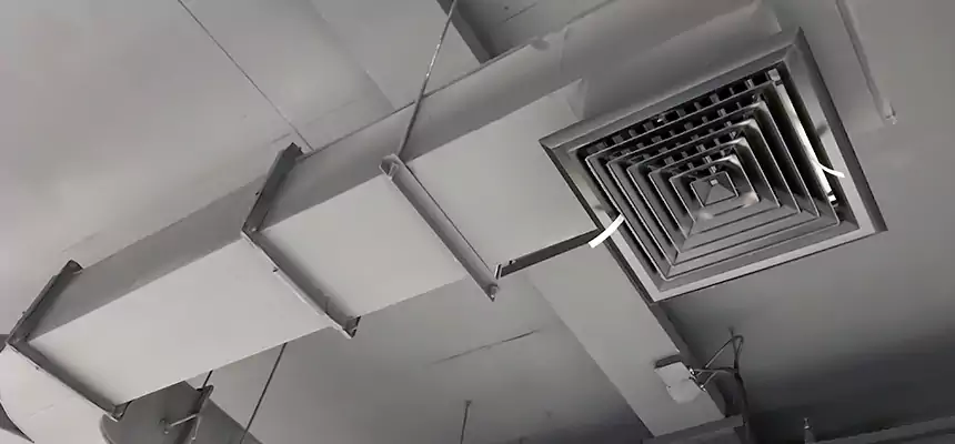 Restorative Allergy Relief Vent Cleaning – Coil, Blower & Housing Detail in Aspen Hill