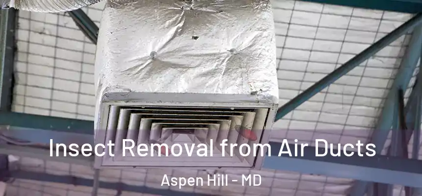  Insect Removal from Air Ducts Aspen Hill - MD