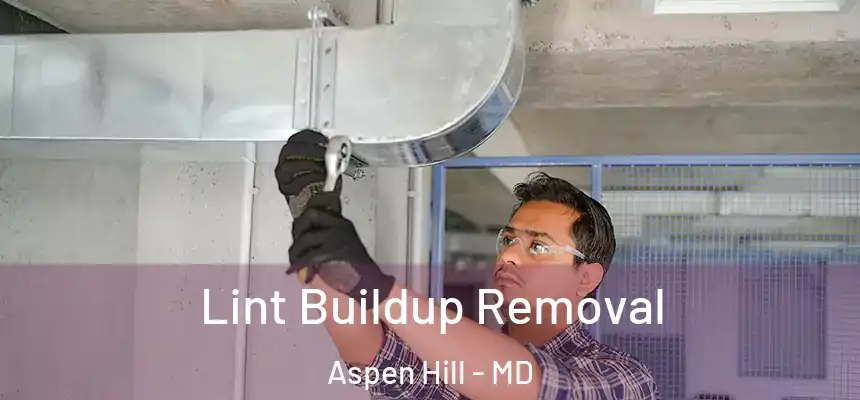 Lint Buildup Removal Aspen Hill - MD