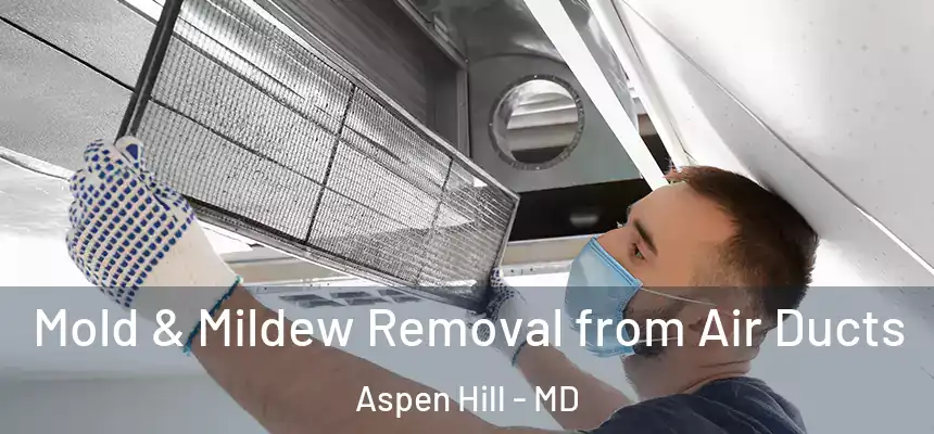  Mold & Mildew Removal from Air Ducts Aspen Hill - MD