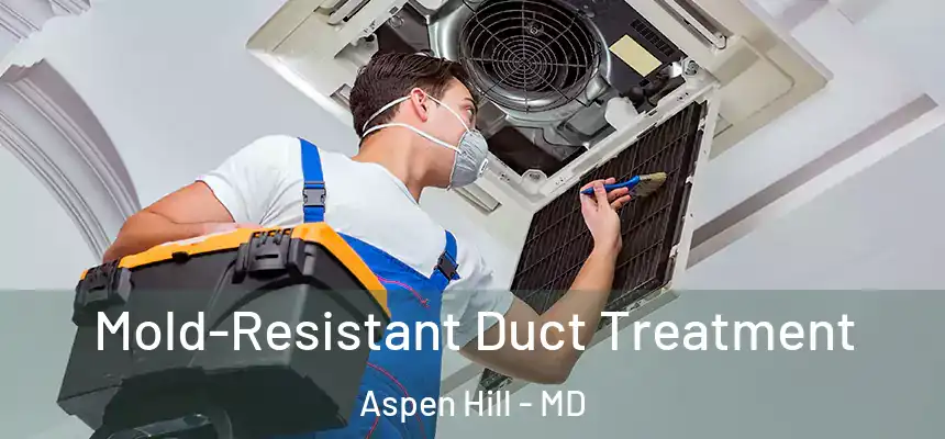  Mold-Resistant Duct Treatment Aspen Hill - MD