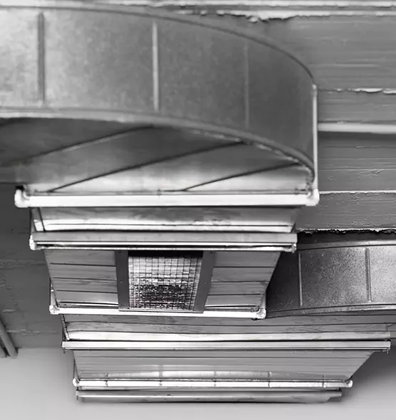 Professional Air Duct Pet Hair Removal in Aspen Hill, MD