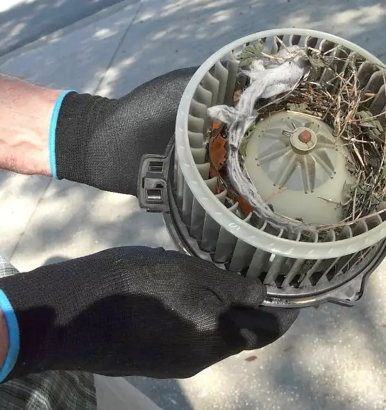 About Air Duct Rat Removal in Aspen Hill, MD