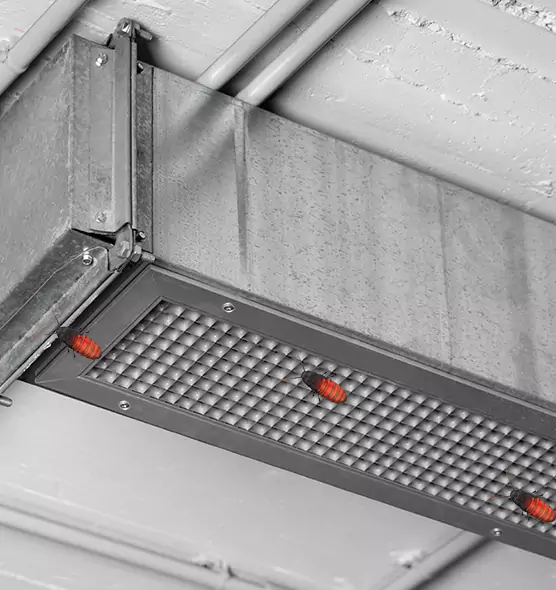 Affordable Insect Removal from Air Ducts in Aspen Hill, MD